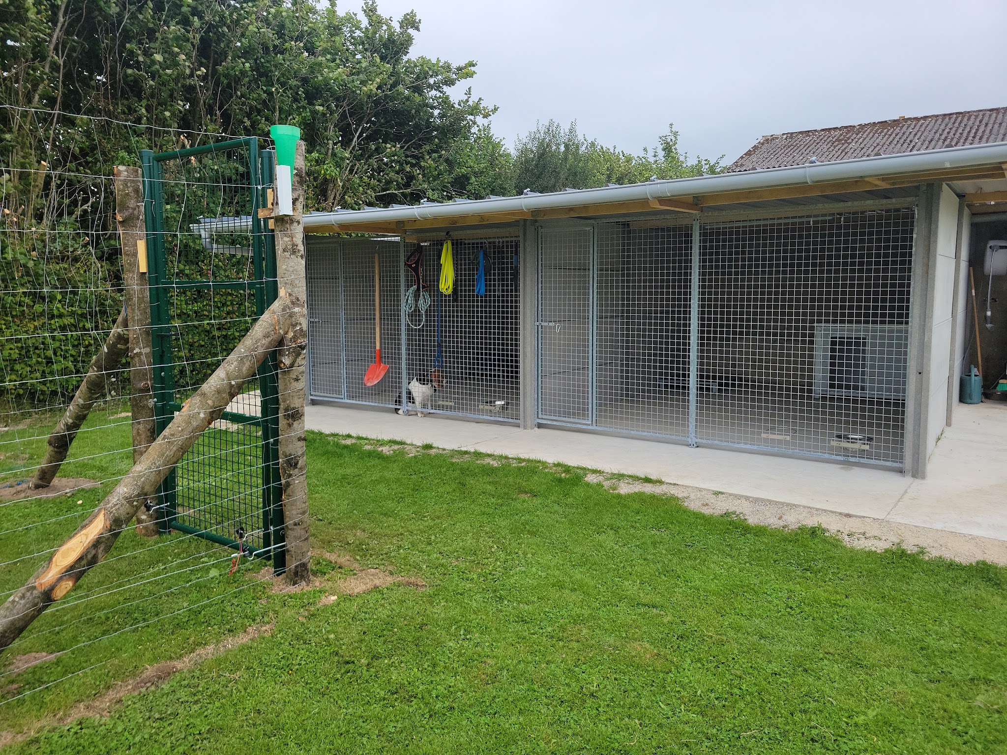Petsitter les 4 pattes Normandes — photo