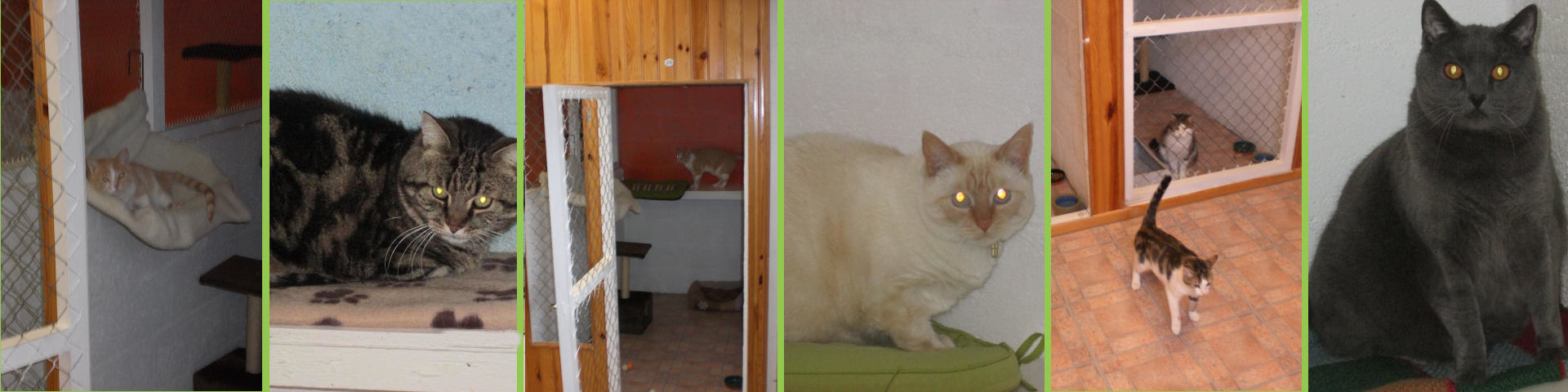 Rousseau Christophe - Pension Canine et Féline 72 — photo