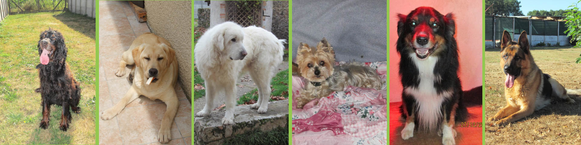 Rousseau Christophe - Pension Canine et Féline 72 — photo