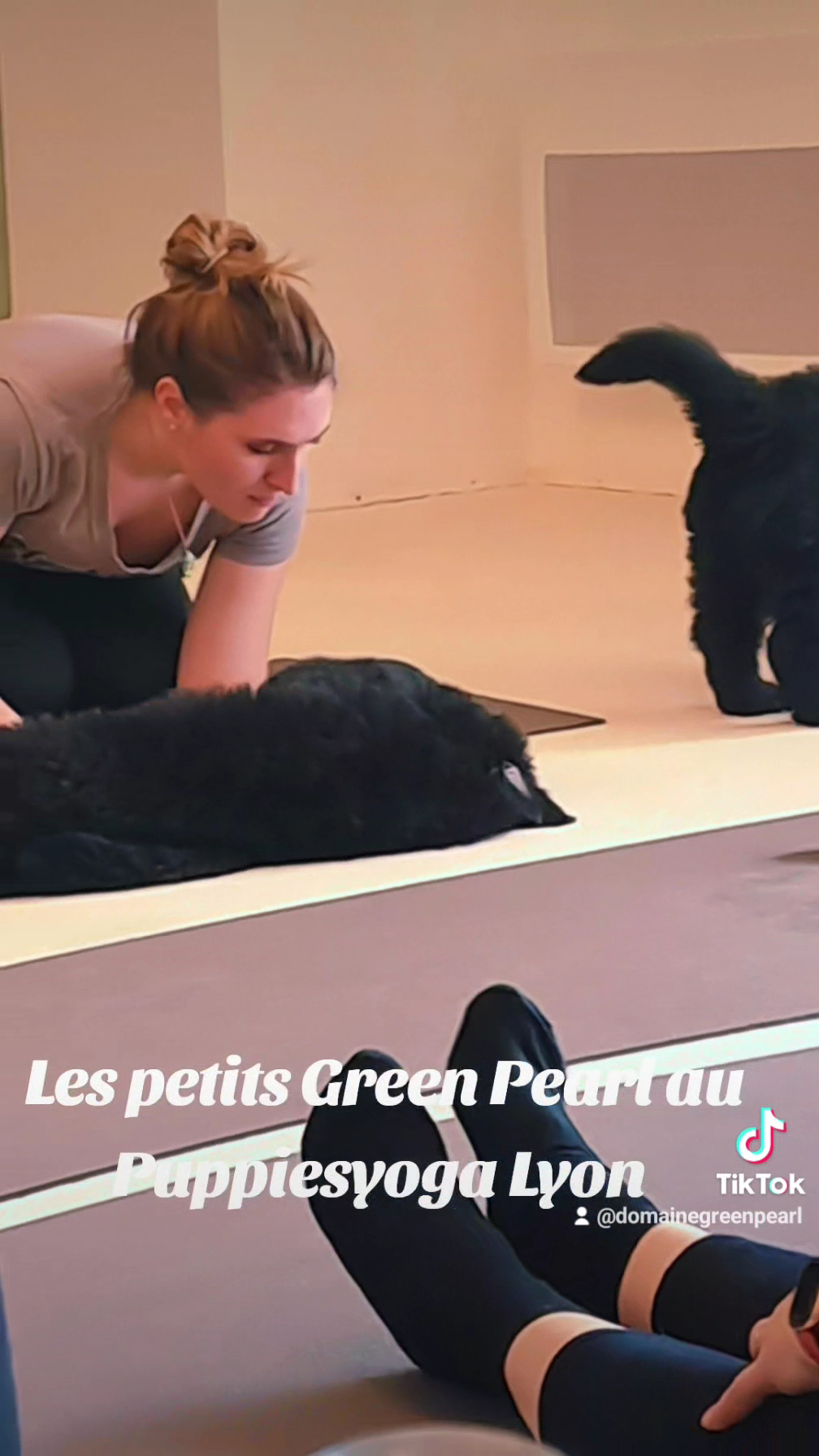 Domaine Green Pearl — photo