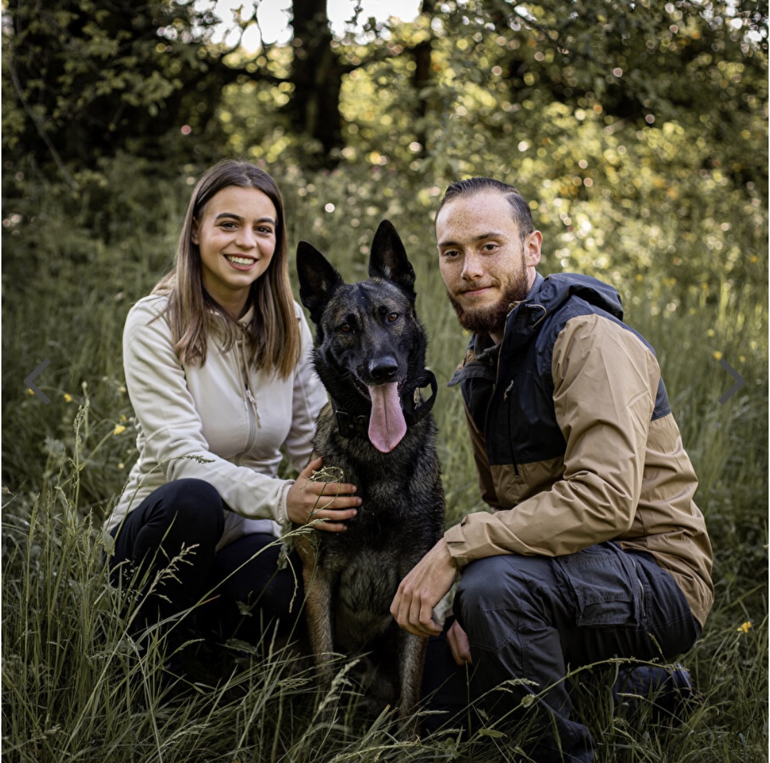 Comme Cha et Chiens
