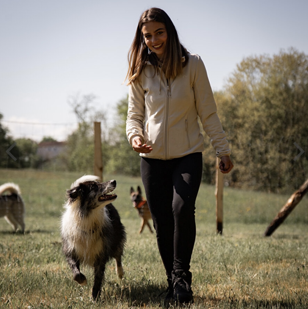 Comme Cha et Chiens — photo