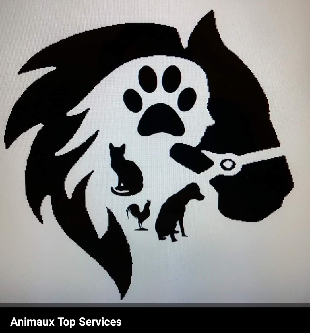 Animaux Top Services Comportementaliste 83/ 13 — photo