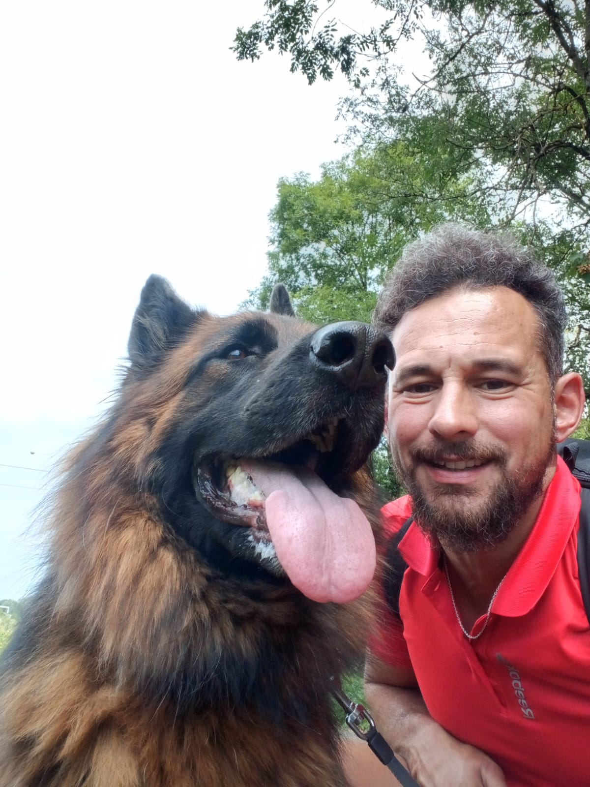 Happy Pets