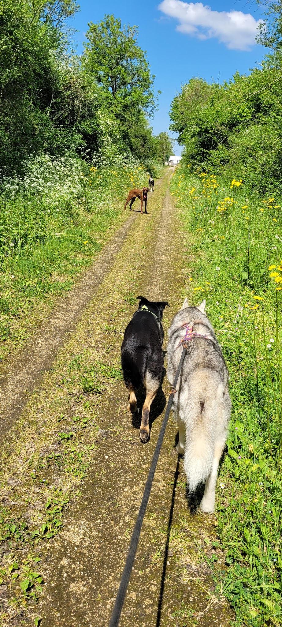 Samanth'Animaux - Garde d'animaux et pension — photo