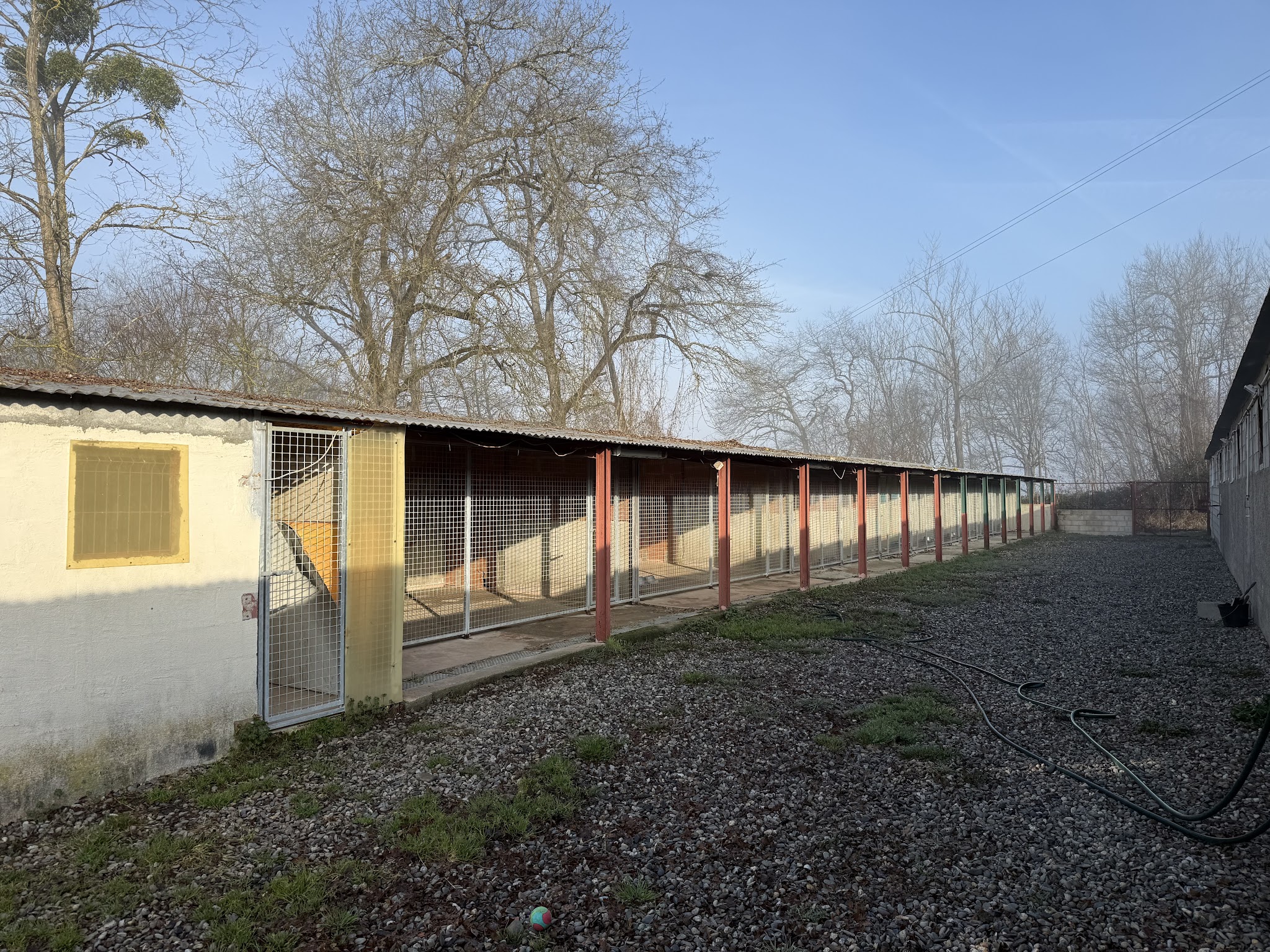 Pension canine — photo
