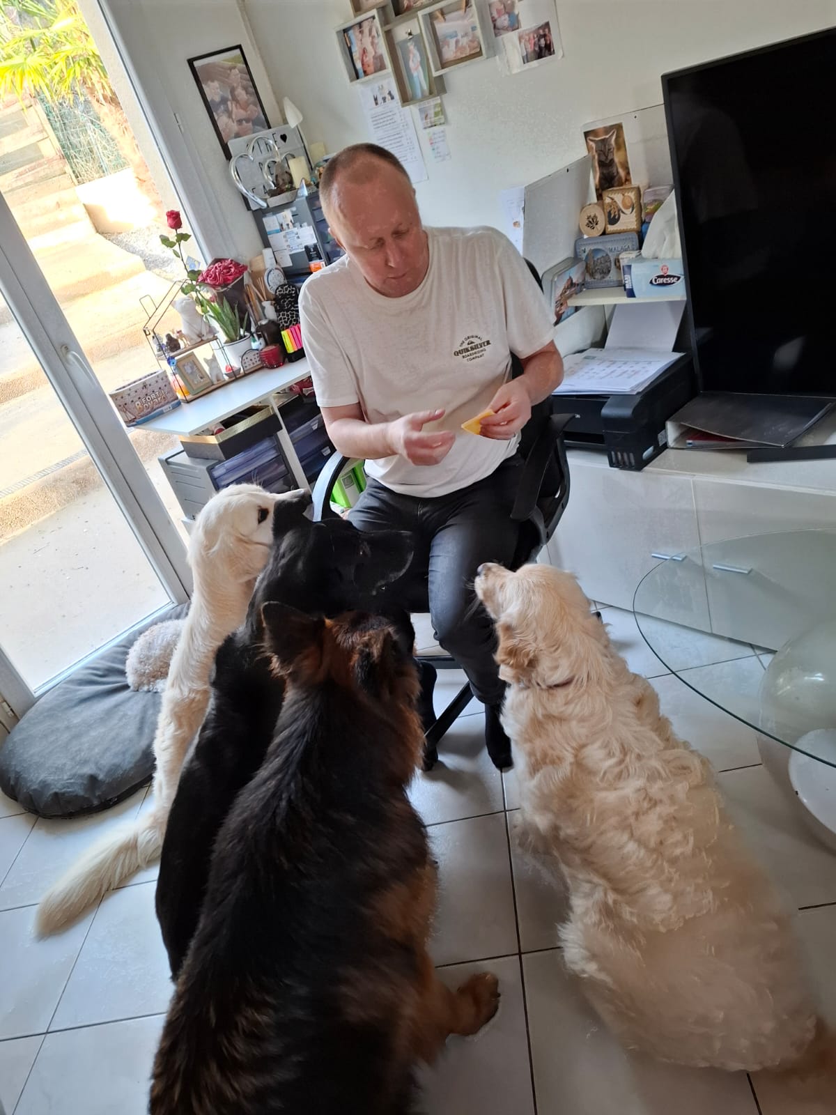 Nath une petsitter au poil — photo