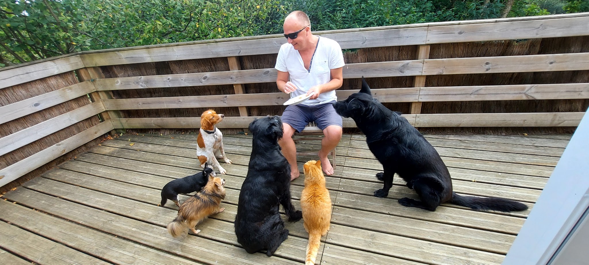 Nath une petsitter au poil — photo