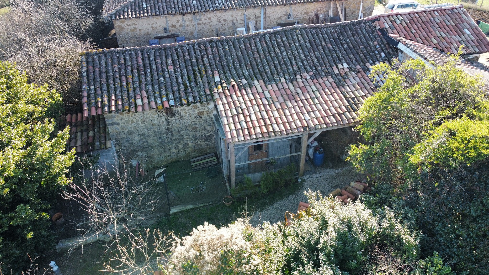 Auberge canine Midi-Pyrénées — photo
