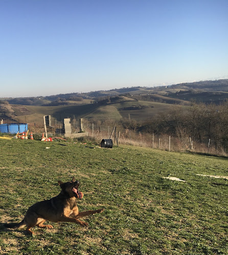Auberge canine Midi-Pyrénées