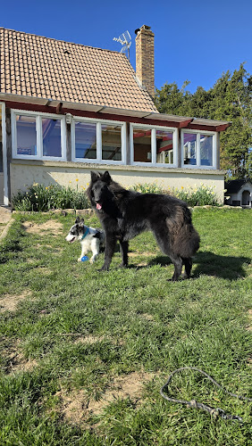 LA PENSION DU P'TIT RANCH