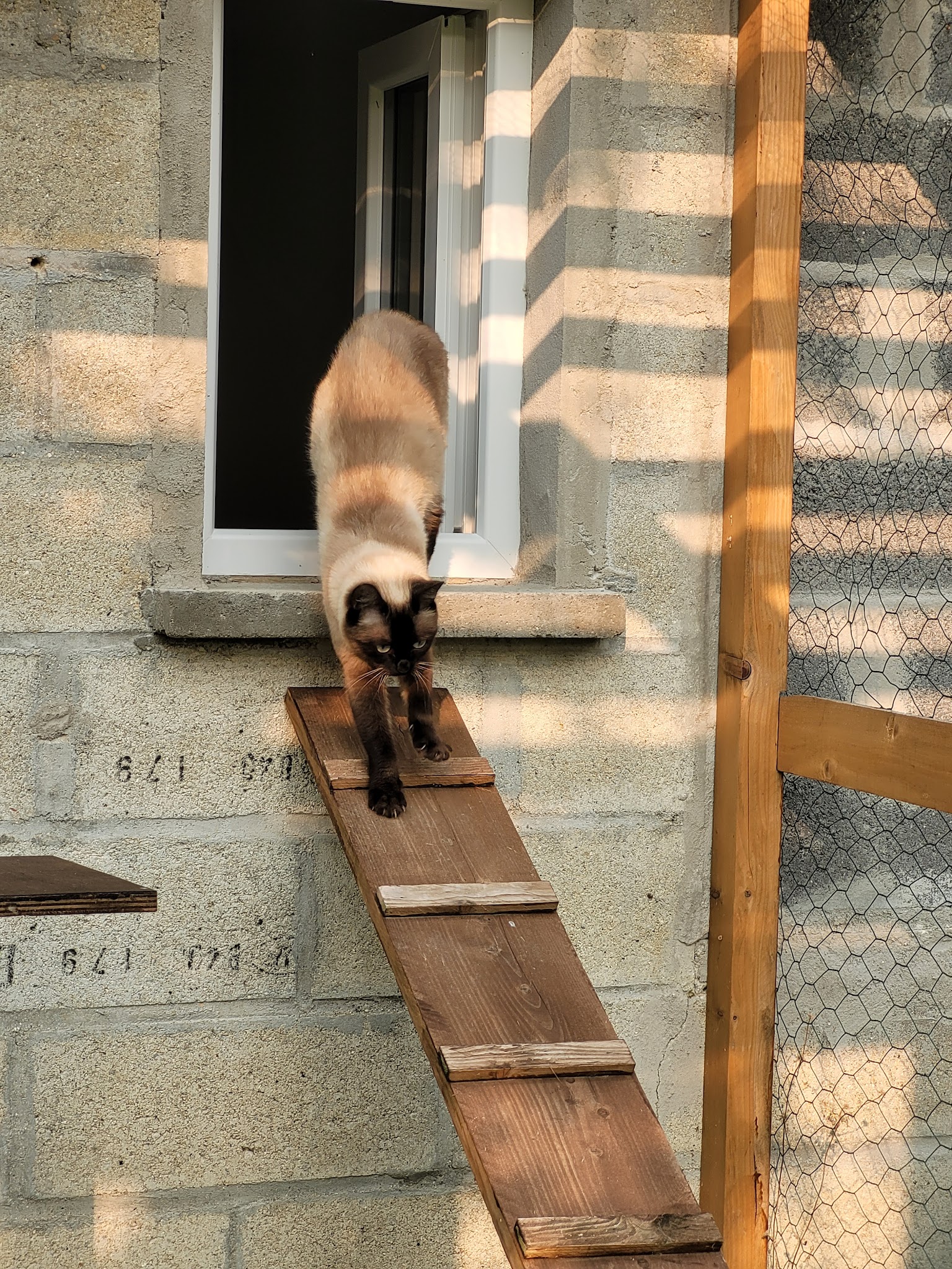 Hôtel DreamCaniCat — photo