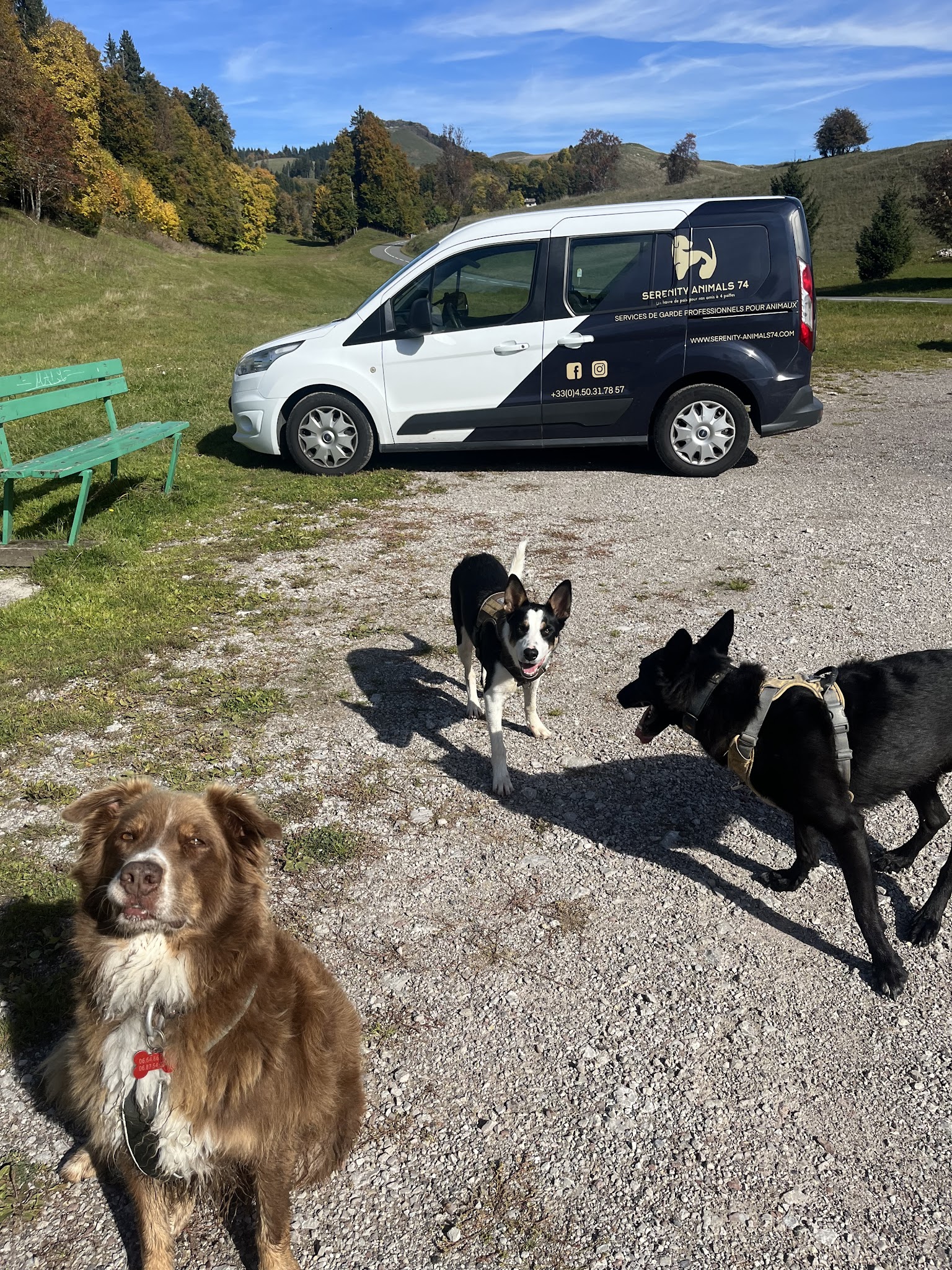Serenity Animals 74 – Pet Sitting, Balades Canines & Pension Féline — photo