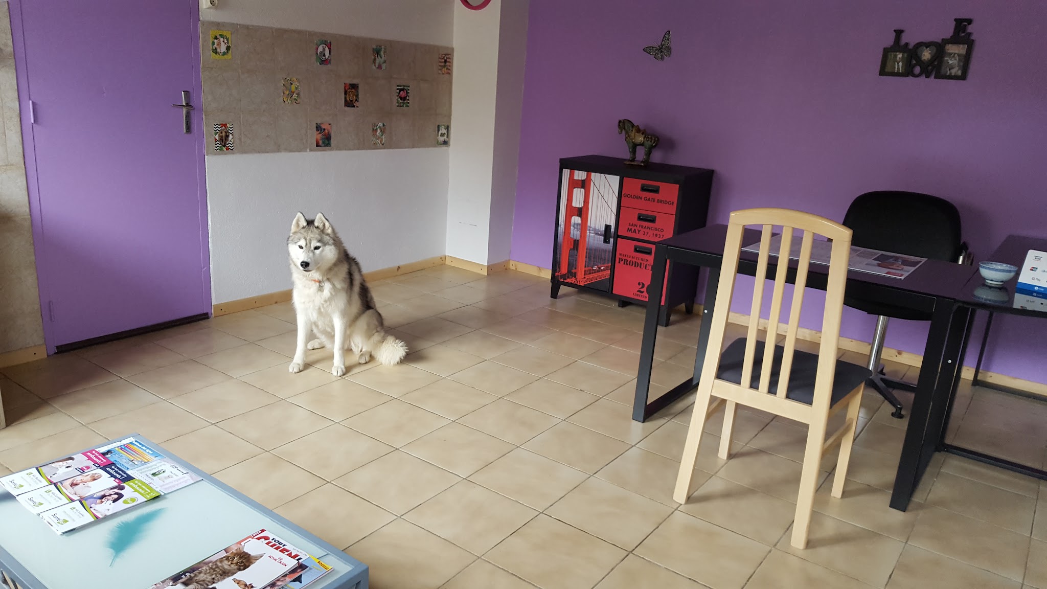Pension familiale "Les 4 Pattes S'évadent" — photo
