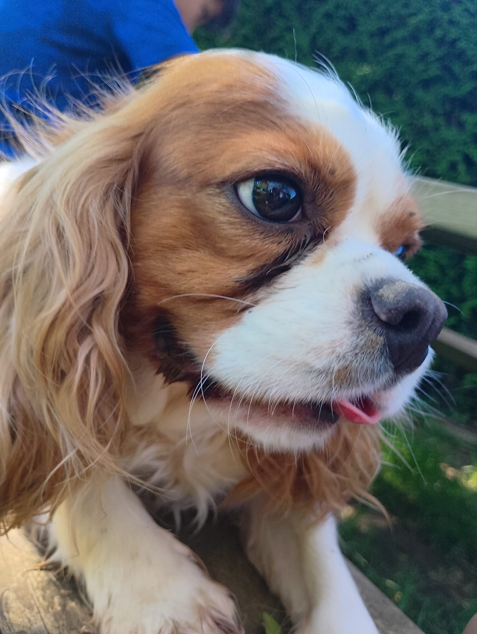Animal Passion — photo
