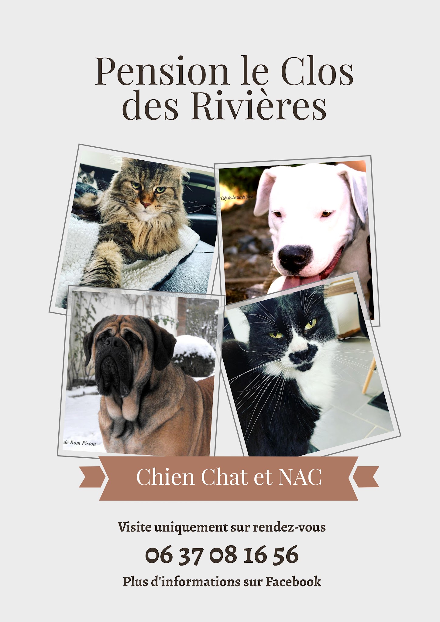 Pension le Clos des Rivières — photo