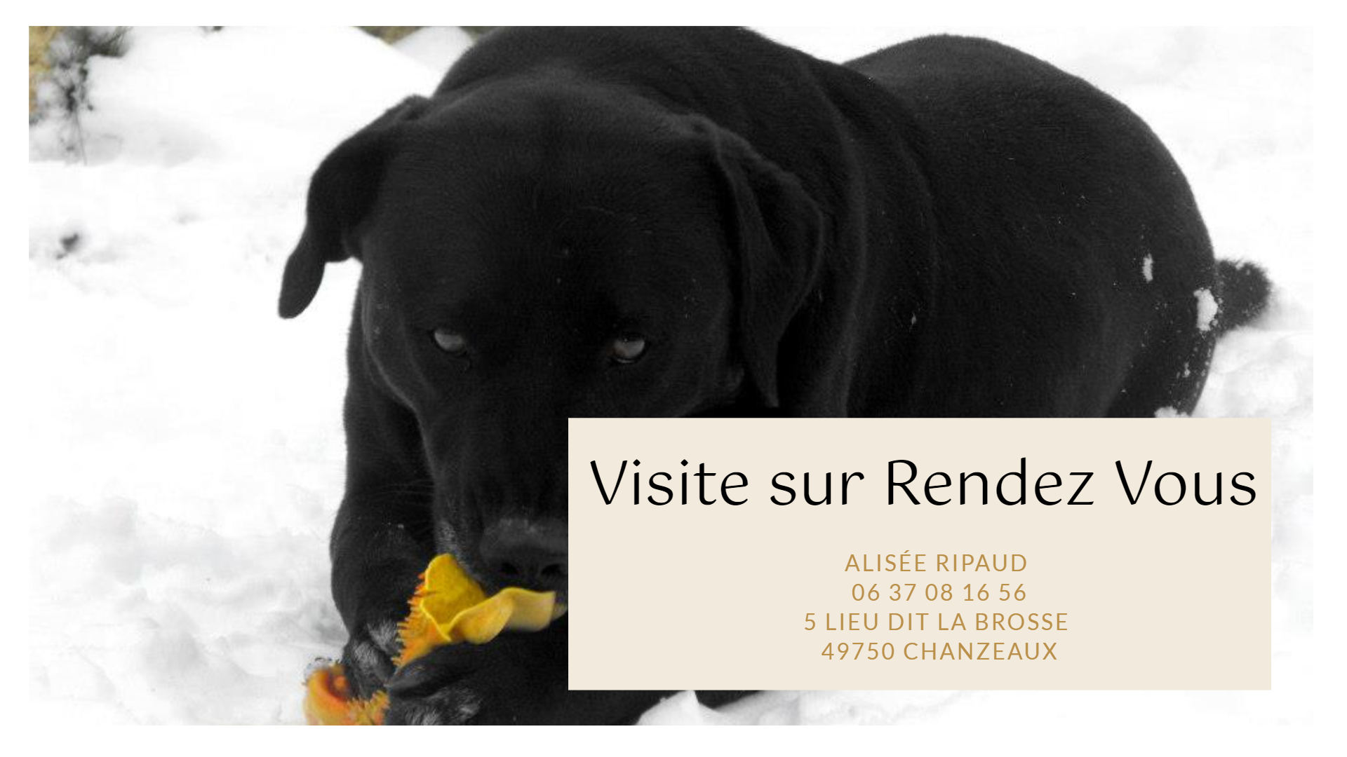 Pension le Clos des Rivières — photo