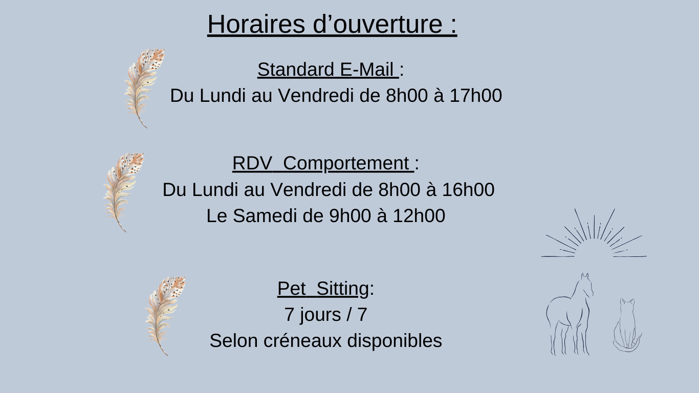 Eloïse Ruptier, Subtile Entente - Comportementaliste - Pet Sitting - Communication Animale