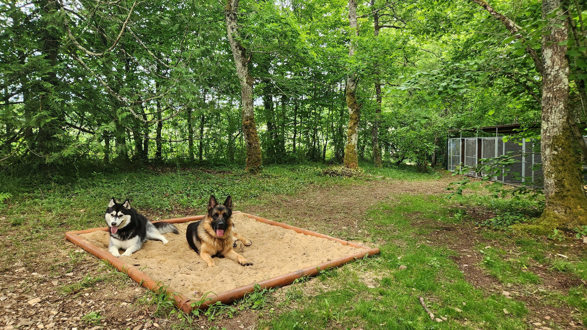 Pension pour chiens de Massangis — photo