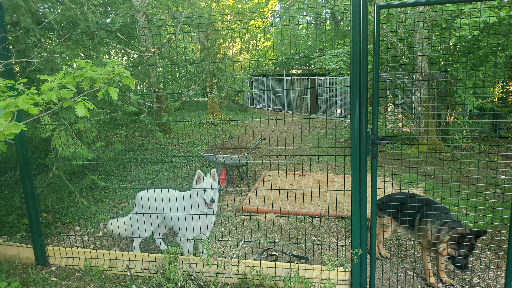 Pension pour chiens de Massangis — photo