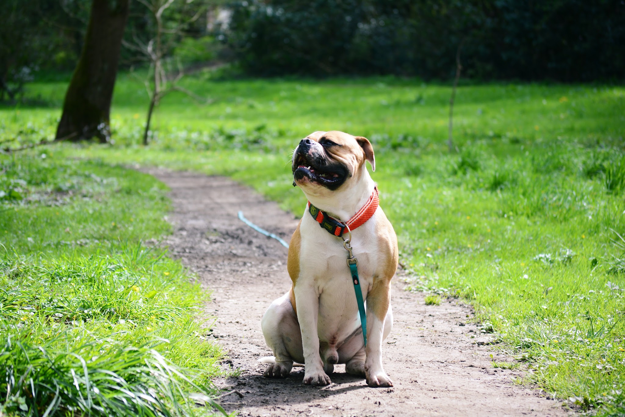 Petsy Friend — photo
