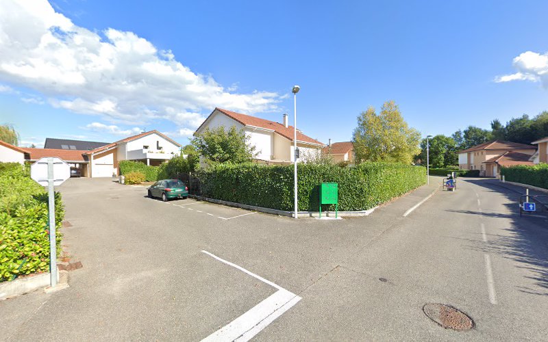 Catsitting Pays de Gex