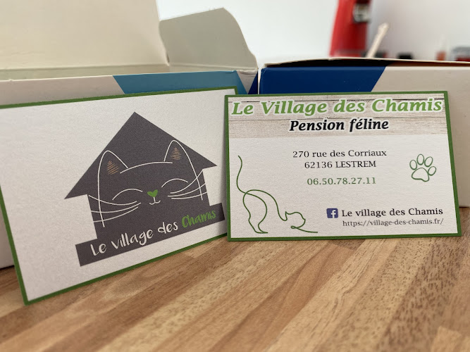 Village des Chamis