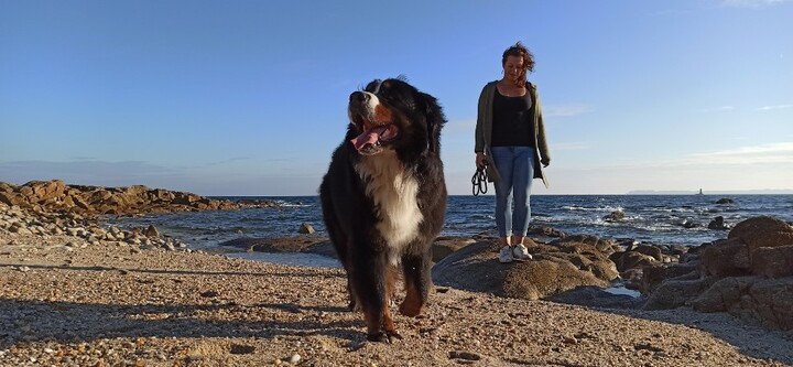 Coco Canine