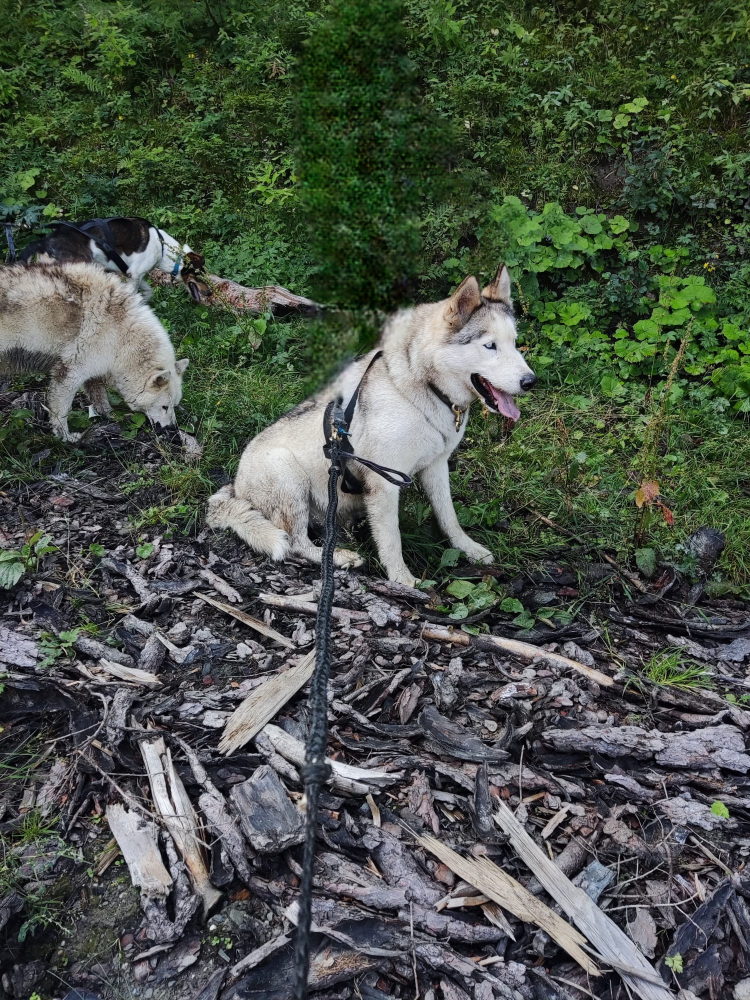 Hors Trace Aventure — photo