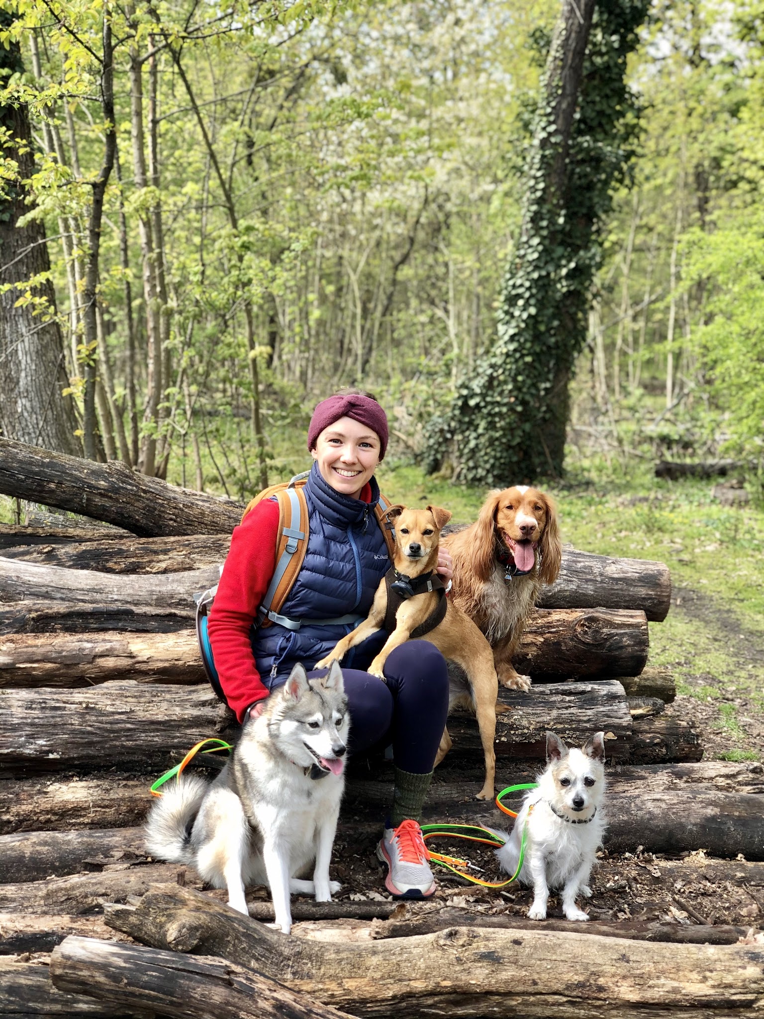 Hannah’s Pet Club — photo