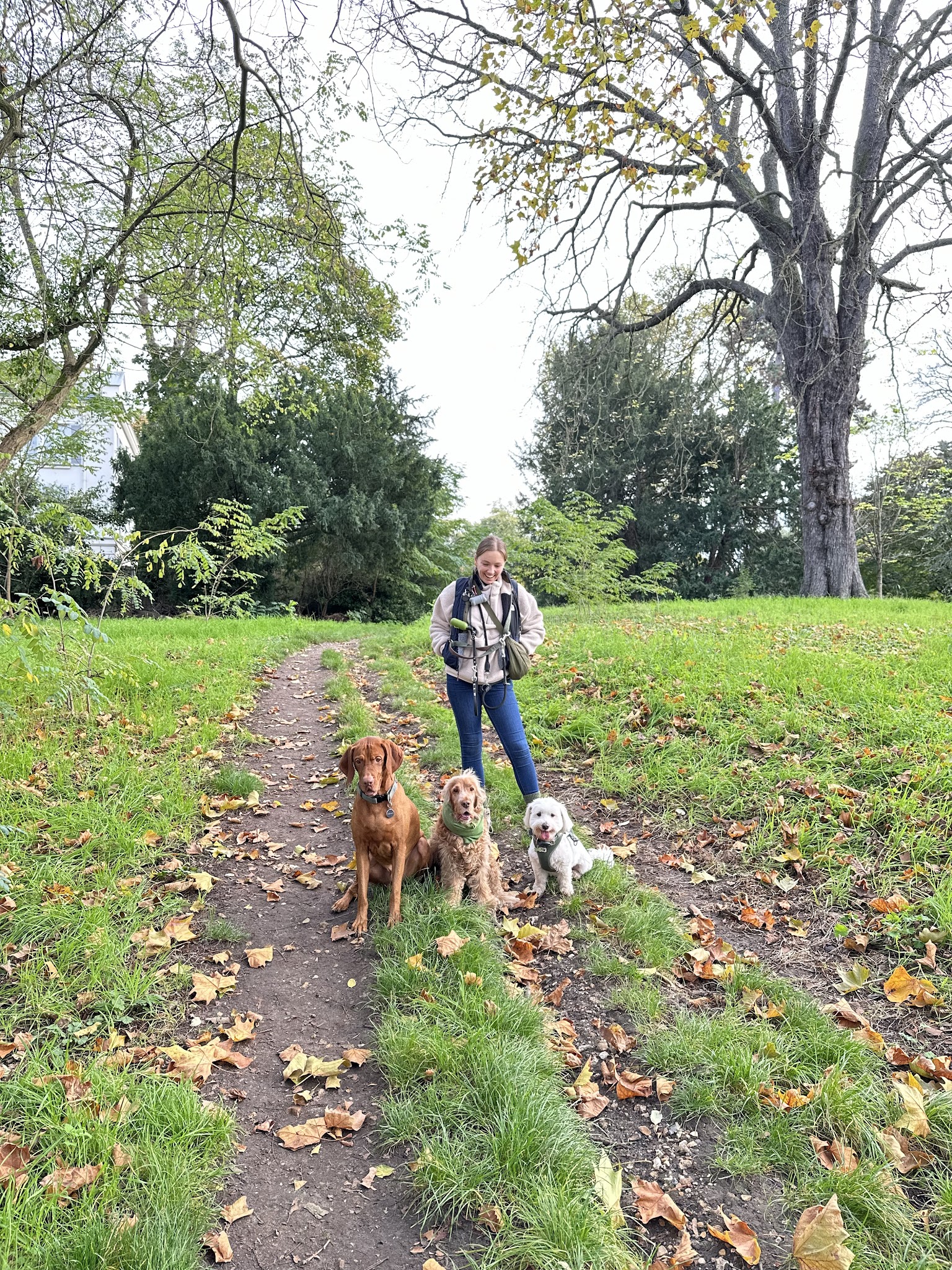 Hannah’s Pet Club — photo