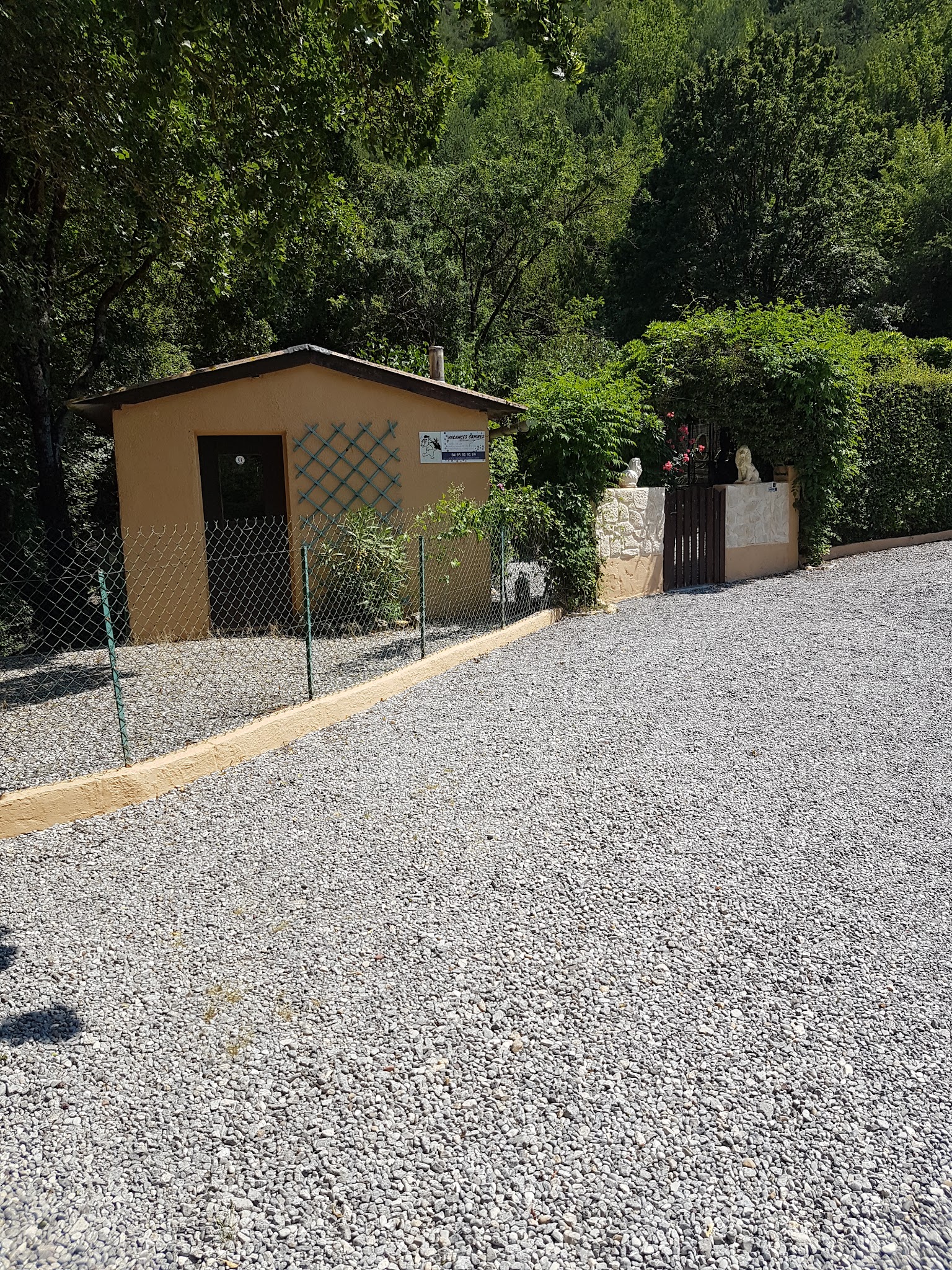 vacances canines