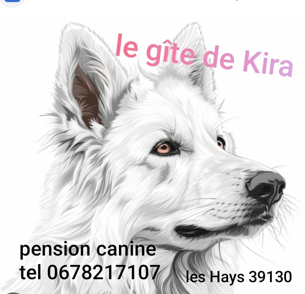 Le gîte de Kira — photo
