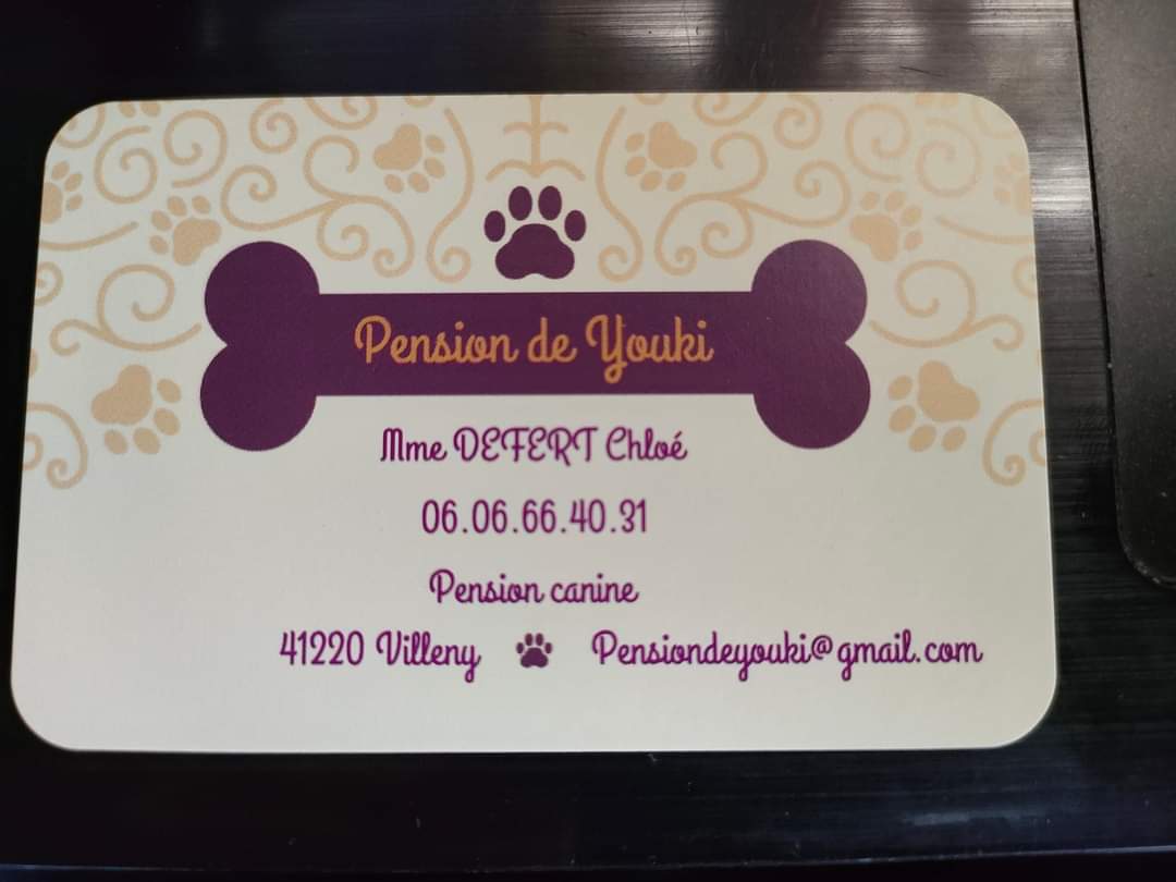 Pension de Youki — photo