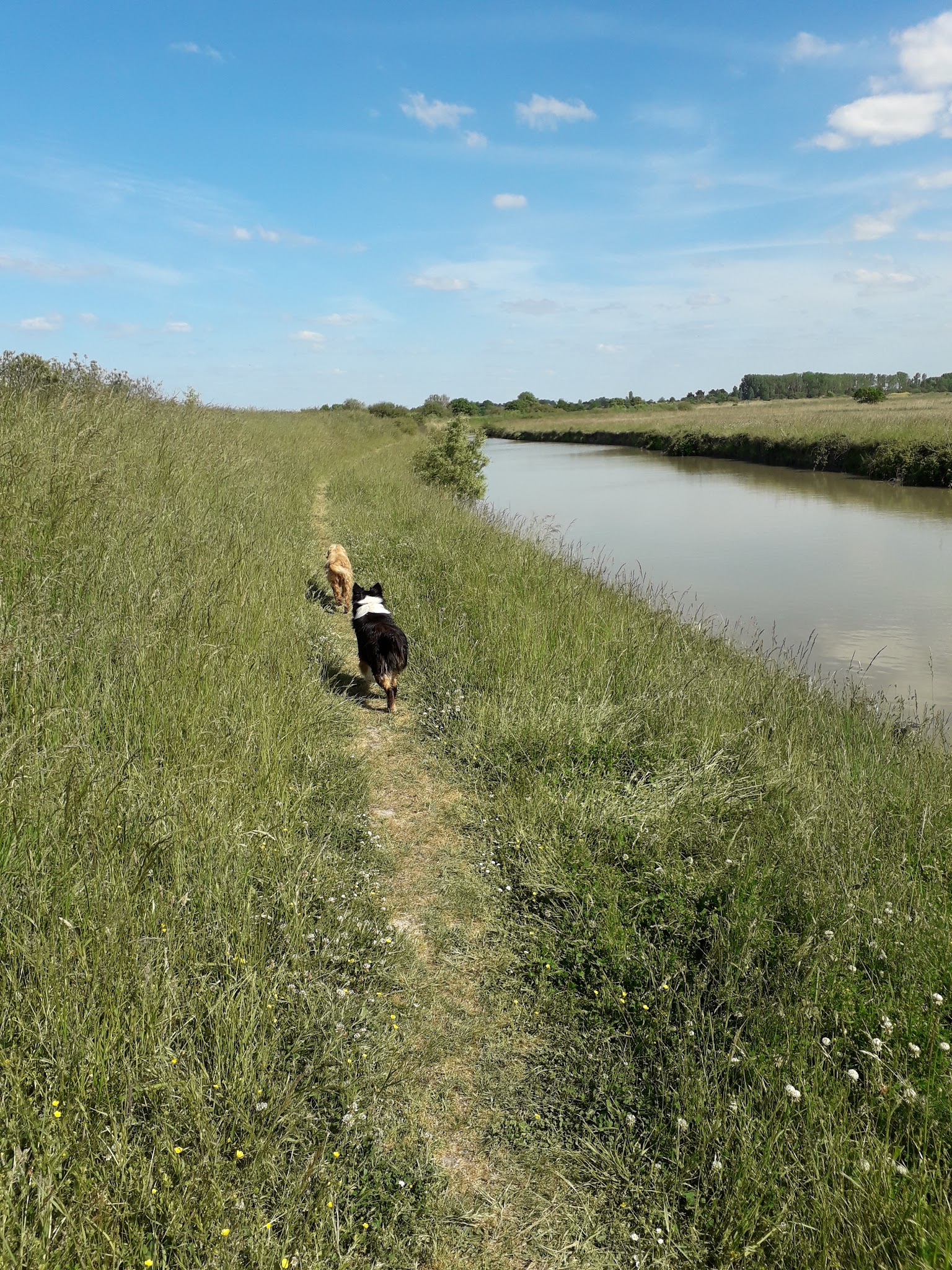 pension canine familiale Au Beau Rivage — photo