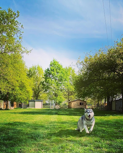 Village Vacances Félin et Canin