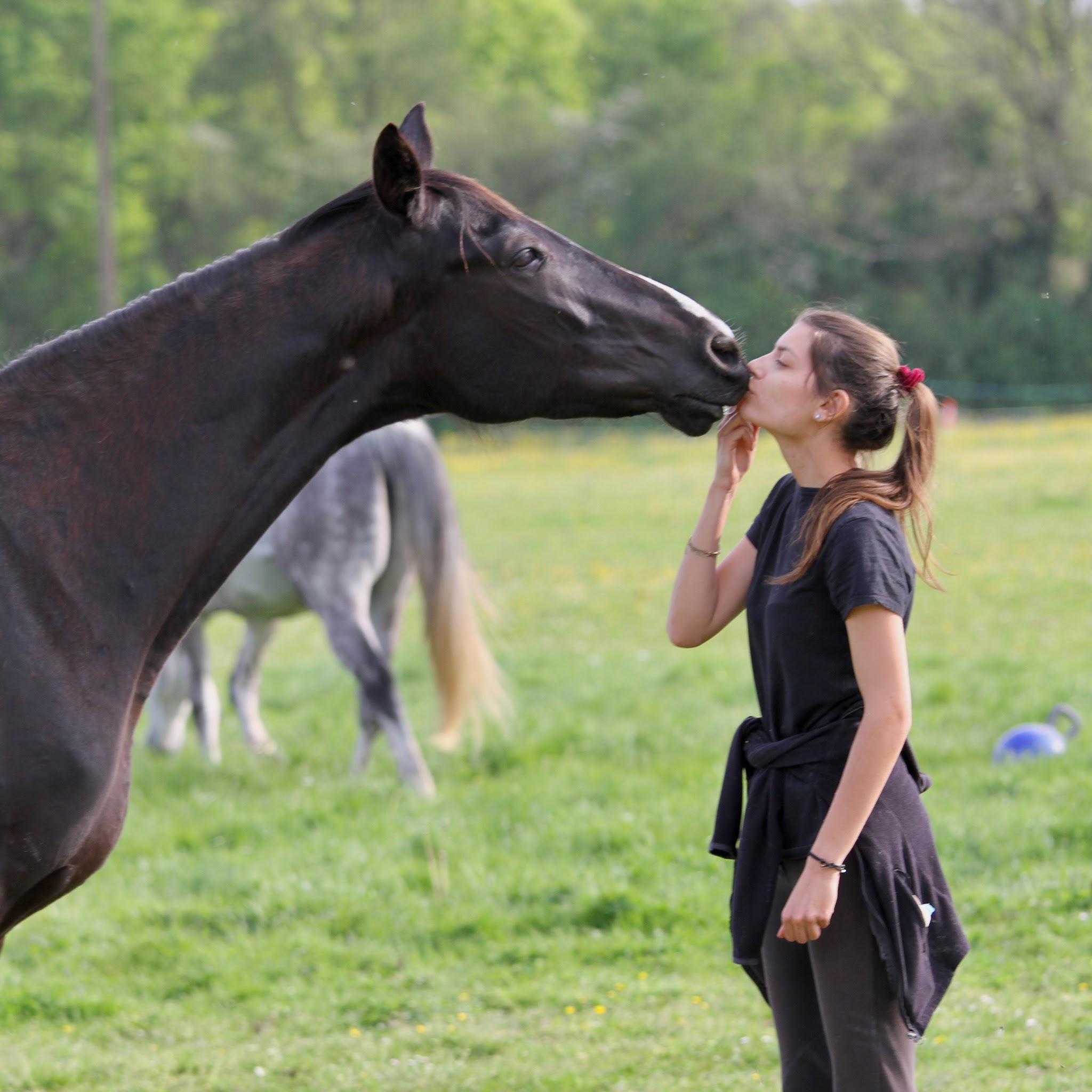 La Vie & Pattes - Pet-sitter Angers (49) — photo
