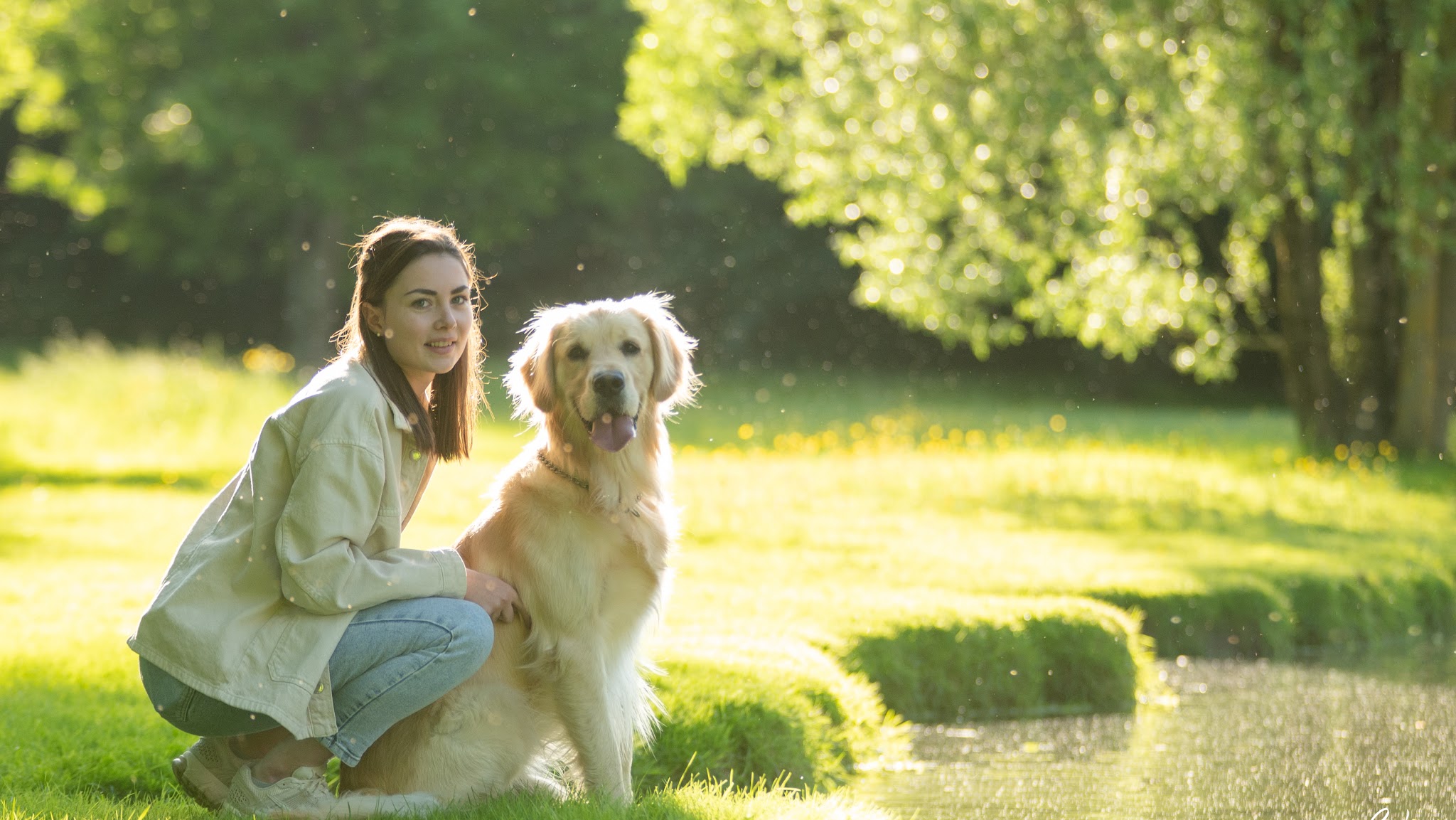Le Domaine de Simba - Pension Canine