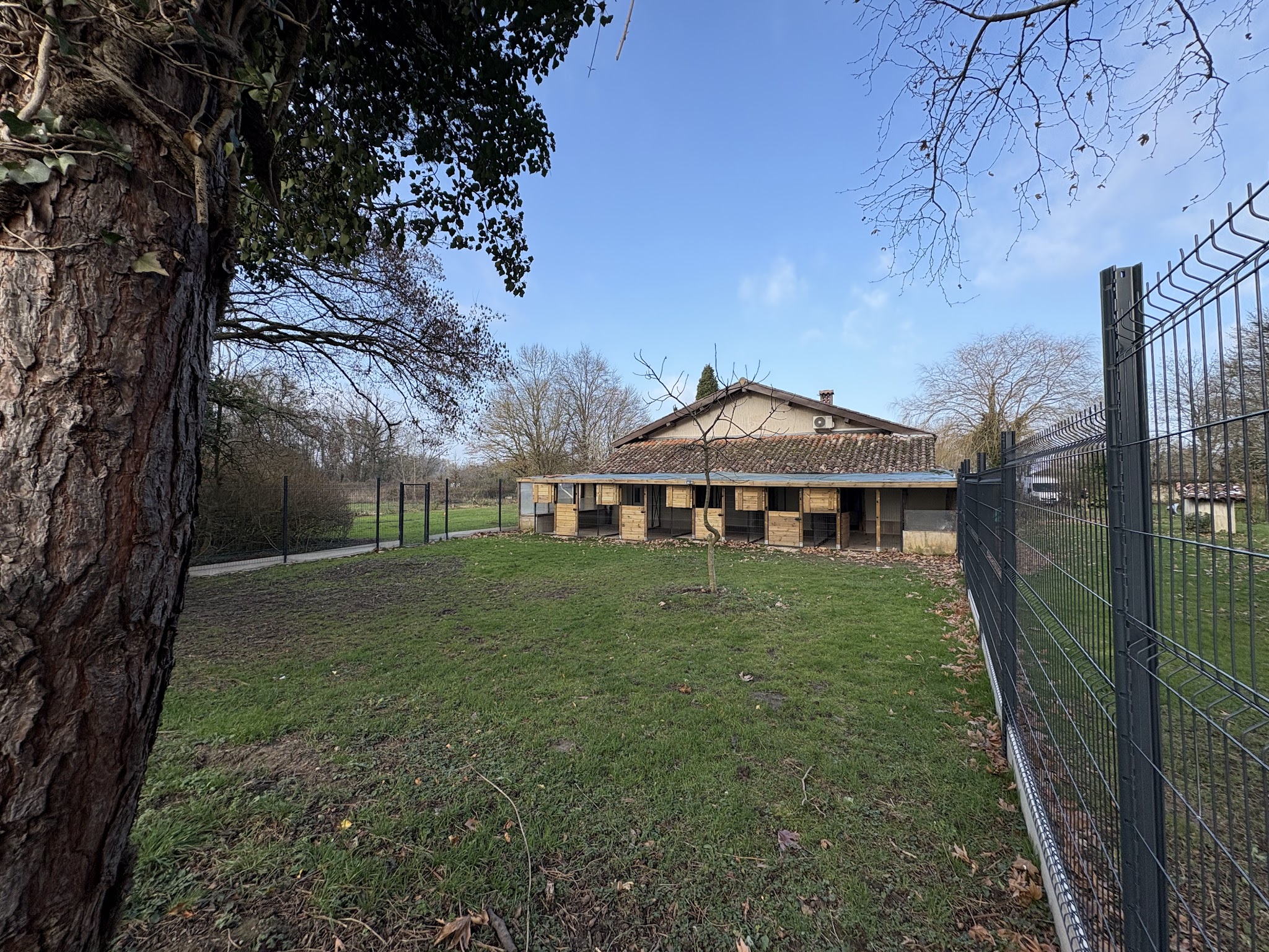 Le Domaine de Simba - Pension Canine — photo