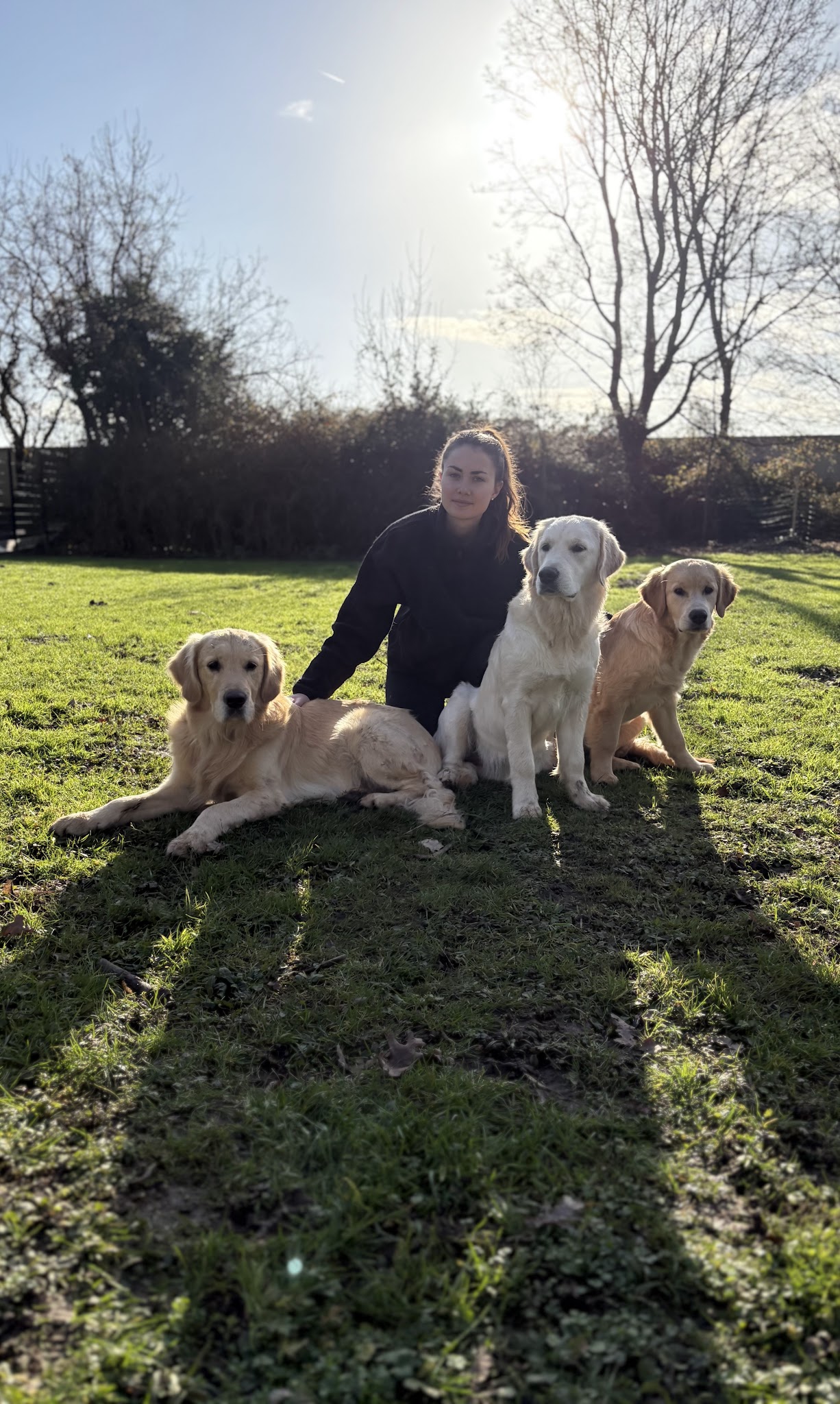 Le Domaine de Simba - Pension Canine — photo