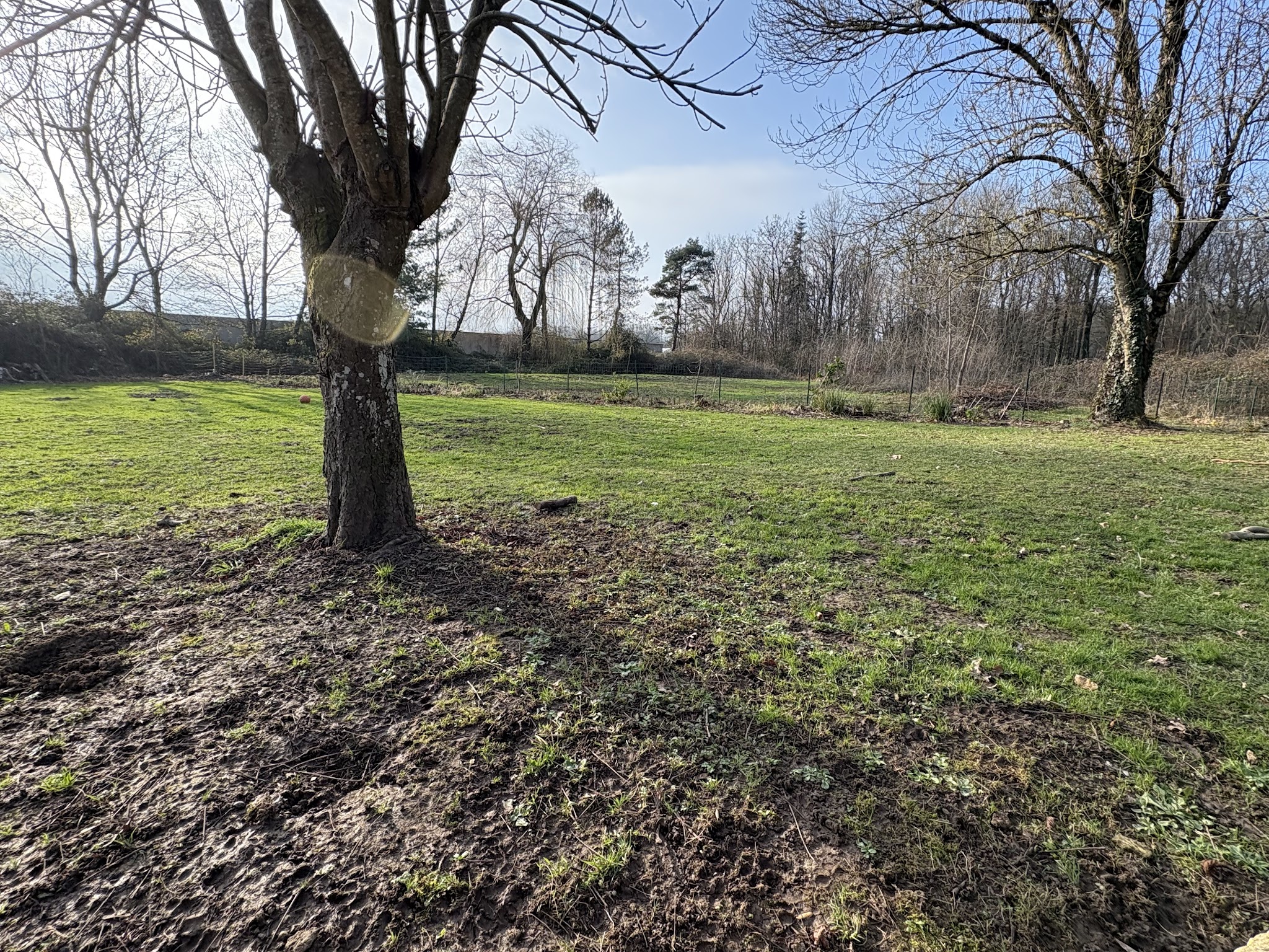Le Domaine de Simba - Pension Canine — photo