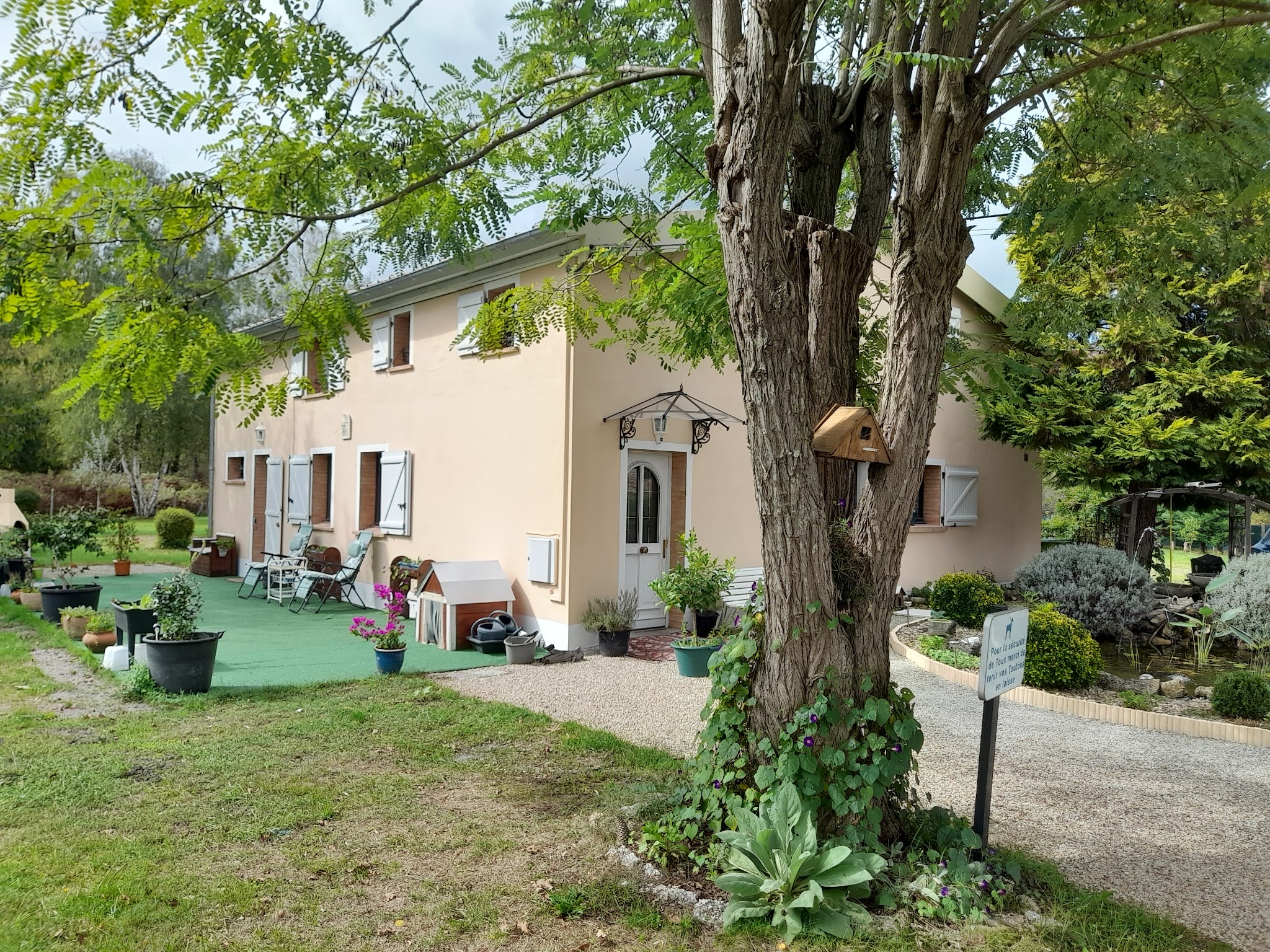 Le village des chiens d'Iza — photo
