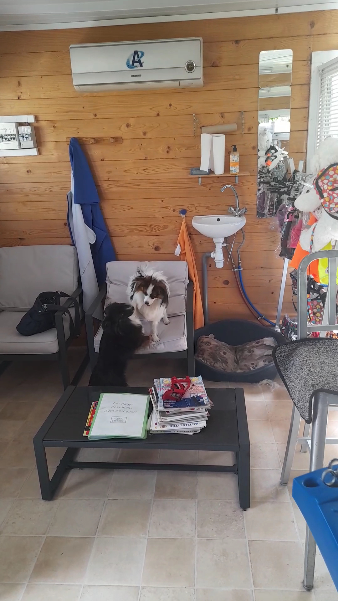 Le village des chiens d'Iza — photo