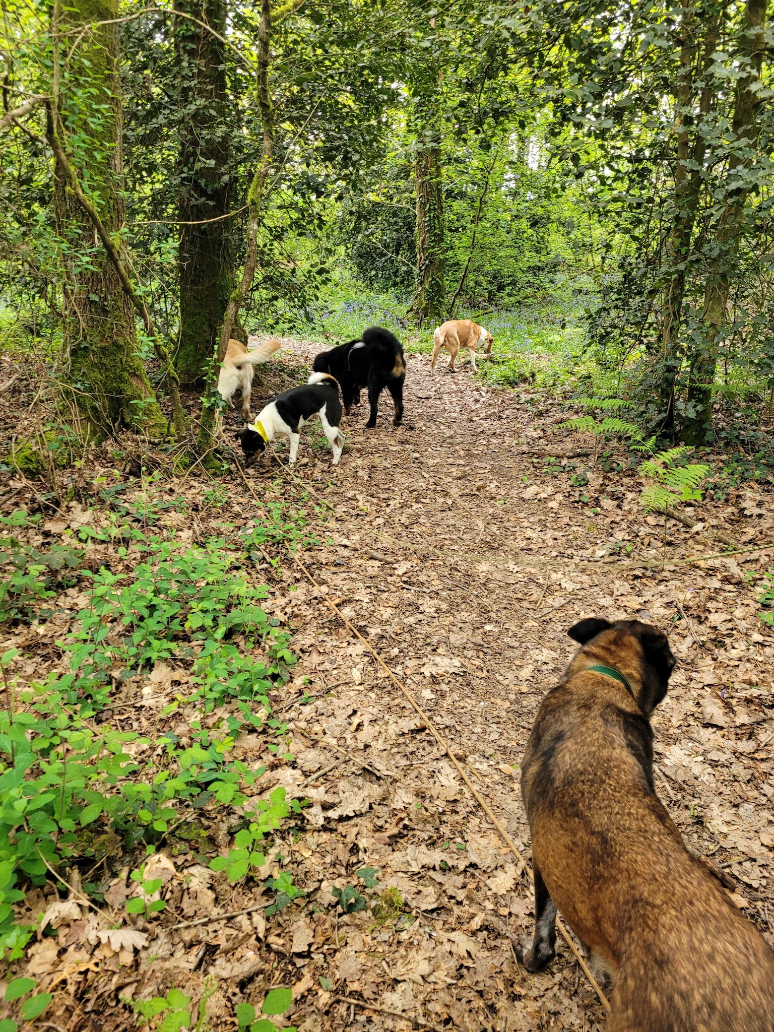 L'apprenti'Sage Canin — photo