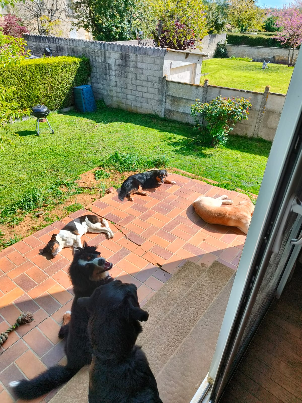 L'apprenti'Sage Canin — photo