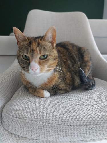 Gard'O Poil Petsitting