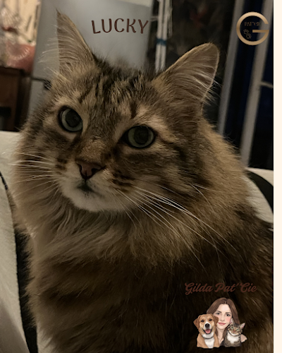 Gilda Pat'Cie