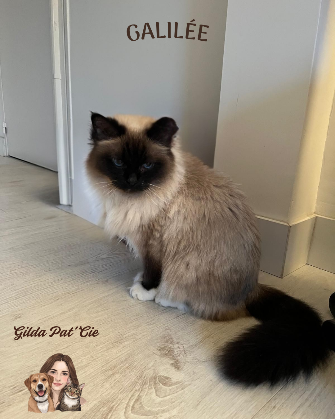 Gilda Pat'Cie — photo