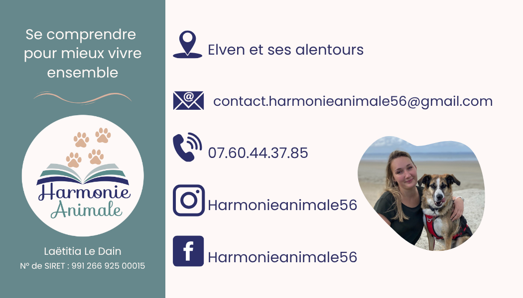 Harmonie animale 56 - Comportementaliste chat et chien - Educatrice canine — photo