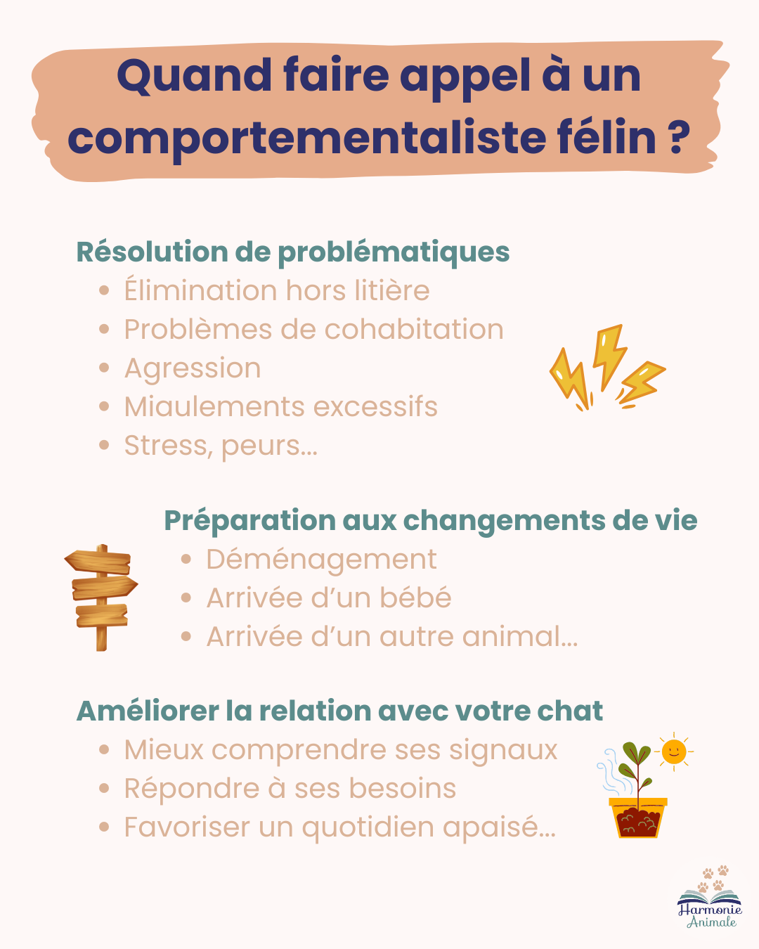 Harmonie animale 56 - Comportementaliste chat et chien - Educatrice canine — photo